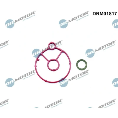 Imagen de DR.MOTOR AUTOMOTIVE DRM01817 Juntas FORD: FOCUS 3
