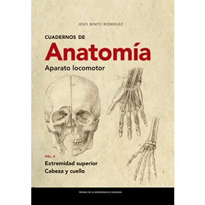 Imagen de Cuadernos De Anatomía. Aparato Locomotor. Extremidad superior. Cabeza y cuello: Vol. II 298 (Textos docentes)