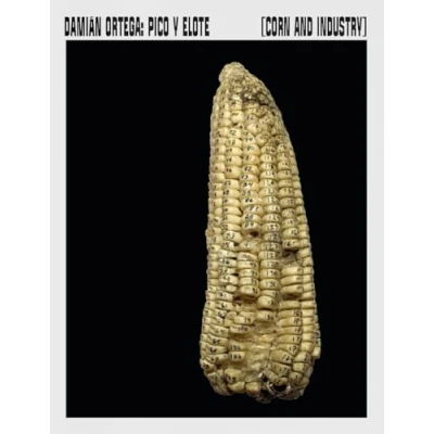 Imagen de Damián Ortega: Pico y Elote / Corn and Industry