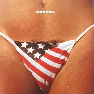 Imagen de Amorica [Vinilo]