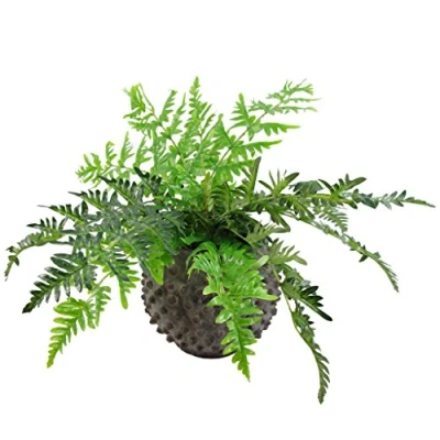 Imagen de Leaf Hoja 50 cm Planta perenne Artificial, Olla de plástico Negro, Helecho Frontal (LEAF 7145)