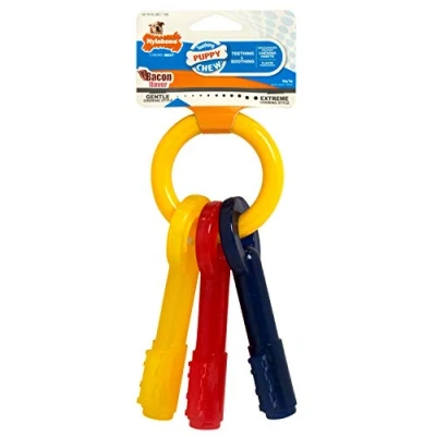 Imagen de Nylabone Teething Keys extra pequeño, juguete para dentición de cachorros