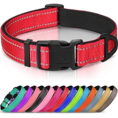 Imagen de Joytale Collar Perro Reflectante,Nylon Acolchado con Neopreno,Ajustable para Perros Pequeño,22 30cm,Rojo