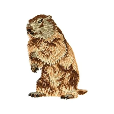 Imagen de mdc Parche termoadhesivo con diseño de cabeza marmota izquierda (3,7 x 5,2 cm)