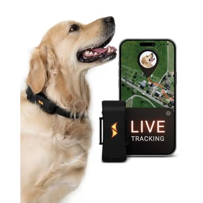 Imagen de PAJ Localizador GPS para Perros 4G alarmas de Fuga + Seguimiento en Vivo hasta 10 días Modo Ahorro batería LED Luminosos Resistente al Agua (IP67) Apto Cualquier Collar Negro