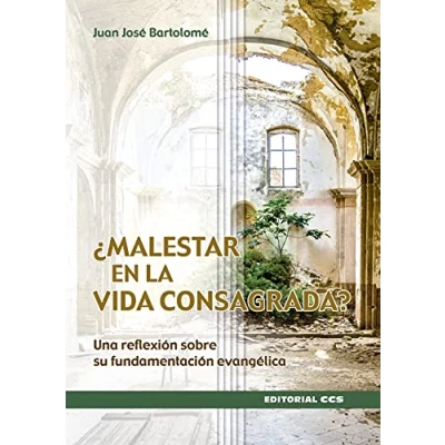 Imagen de ¿malestar en la vida consagrada?