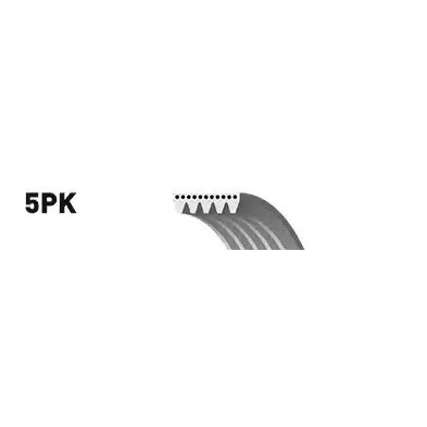 Imagen de SNR CA5PK1146 Correa trapecial poli V 1146 5 FIAT: Stilo Hatchback, Punto II Doblo I Cargo, FORD: KA KA+ Hatchback