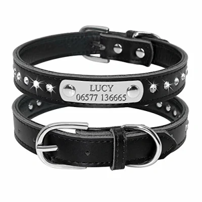 Imagen de Didog Collar para perro con placa de identificación, brillantes, diseño diamantes imitación, perros pequeños y medianos