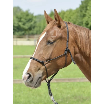 Imagen de Busse rope halter Smooth ll