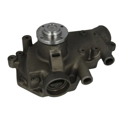 Imagen de DOLZ D201 Bomba de agua DAF: 95 XF