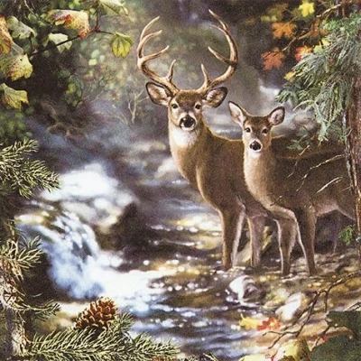 Imagen de 20 Servilletas 33 x cm Animales en otoño Corzo del bosque ciervo Diseño de caza