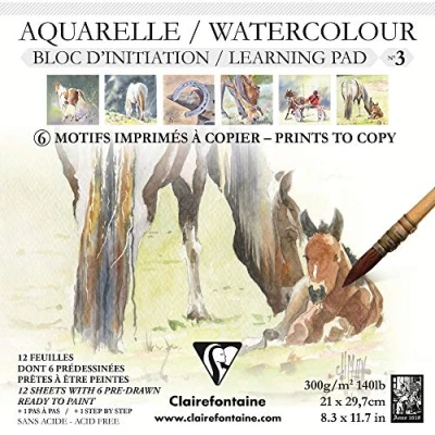 Imagen de Clairefontaine 975147C Bloc Collé Aquarelle Prédessiné n3 12 Feuilles Papier Blanc Grain Fin 6 Prédessinées et Vierges 21x21 cm 300g