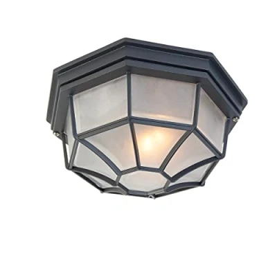 Imagen de QAZQA rústico Lámpara de techo rústica gris oscuro IP44 BRI L Aluminio/Vidrio Redonda Adecuado para LED Max. 1 x 100 Watt