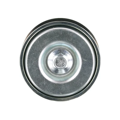 Imagen de GATES T36401 Rodillo Guia Micro V UNIQUE FIT FIAT: Ducato II Furgón, Camión de plataforma/Chasis, CITROËN: Jumper I Furgón