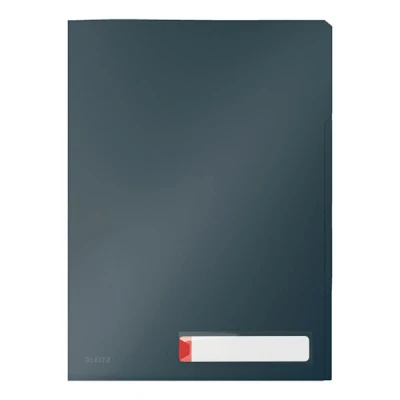 Imagen de Leitz Priv. Carpeta de anillas (A4, 3 unidades), color gris