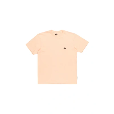 Imagen de Quiksilver Basic SS tee Young Men Camiseta, Peach Parfait, S Hombre