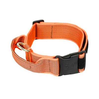 Imagen de Collar Color &amp; Gray con la manija, cerradura de seguridad y el remiendo intercambiables, 50 mm (49 70 cm), naranja Gris