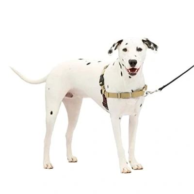 Imagen de PetSafe Arnés para Perros Easy Walk