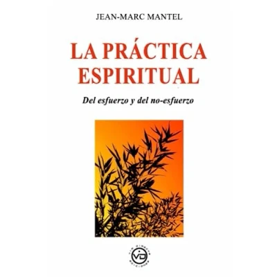 Imagen de La práctica espiritual: del esfuerzo y no (ADVAITA)