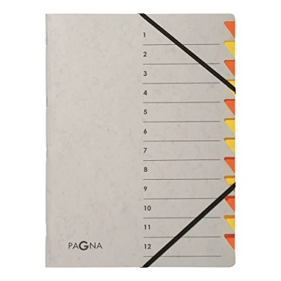 Imagen de Pagna Carpeta archivadora (7 compartimentos Easy Grey, color naranja