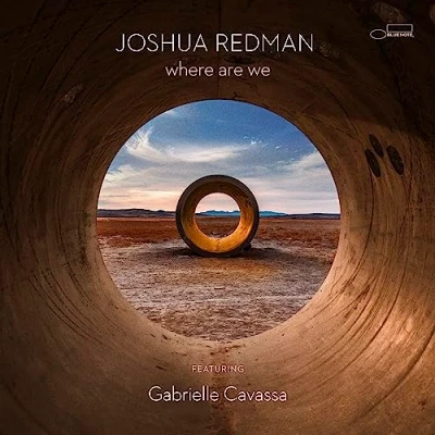 Imagen de where are we (2LP) [Vinilo]