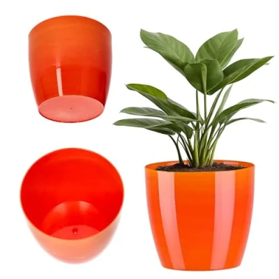 Imagen de KADAX Macetero, macetero Redondo de plástico, Maceta Mate para Cactus, helechos, Brillante balcón, apartamento y terraza (16 cm, Amarillo)