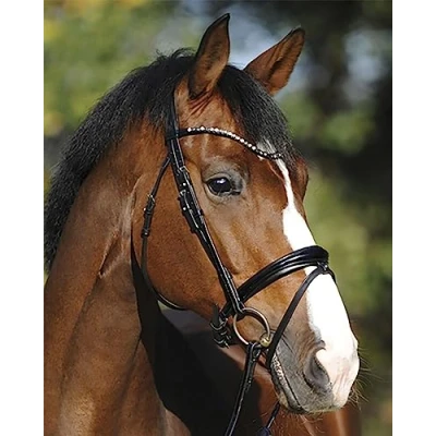 Imagen de Kavalkade Bridle SH4 Reyna