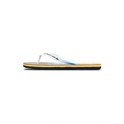 Imagen de Quiksilver Molokai Stripe 25 Chanclas de dedo, Hombre, Talla: 47, Blq6 Fibra sintética