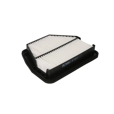 Imagen de FILTRON AP 109/3 Filtro de aire 49 228 284 Cartucho filtrante CHEVROLET: Captiva, OPEL: Antara, VAUXHALL: Antara