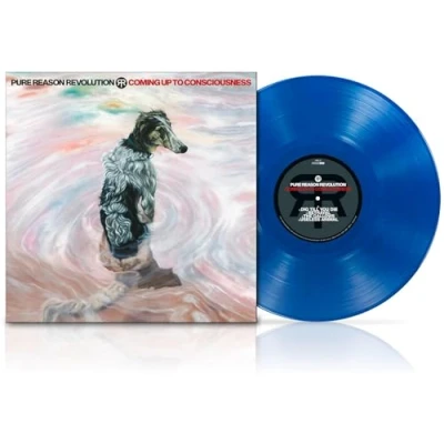 Imagen de Coming Up To Consciousness [Vinilo]