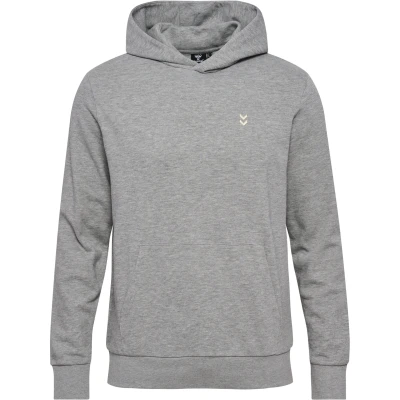 Imagen de Hummel Pulse CO Regular Jersey con capucha, Hombre, Talla: Large, Grey