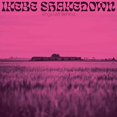 Imagen de Kings Left Behind [Vinilo]