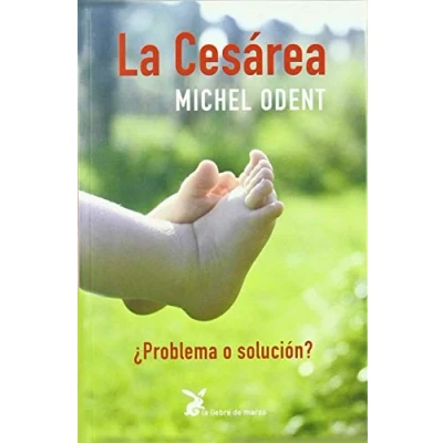 Imagen de La Cesárea: ¿Problemas o solución? (SIN COLECCION)