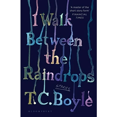 Imagen de I Walk Between The Raindrops (ebook)