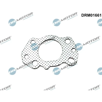 Imagen de DR.MOTOR AUTOMOTIVE DRM01661 Junta Colector de Escape con chapa protección térmica CITROËN: Berlingo II Furgón, C4 Grand Picasso 2, Cactus