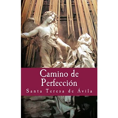 Imagen de Camino de Perfeccion: Volume 10 (Philosophiae Memoria)