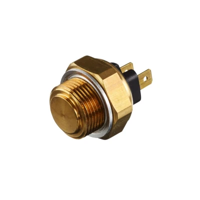 Imagen de HELLA 6ZT 007 800 031 Interruptor de temperatura, ventilador del radiador M 22 x 1,5 12 PEUGEOT: 205 II Hatchback, I 305 Berlina