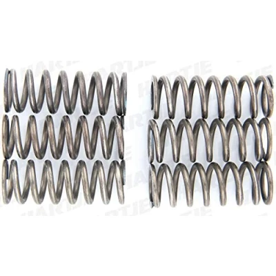 Imagen de Kit muelles de embrague TRW MEF157 6