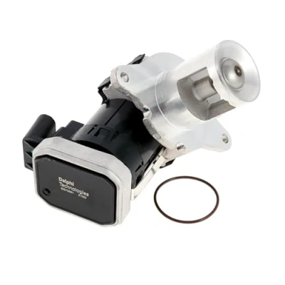 Imagen de DELPHI EG10621 12B1 Válvula EGR sin radiator