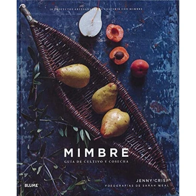 Imagen de Mimbre: 20 proyectos artesanales de cestería con mimbre (SIN COLECCION)