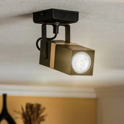 Imagen de Eko Light Foco de techo Vidar, negro, 1 luz