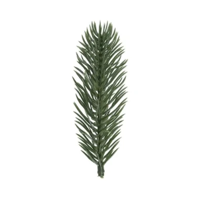 Imagen de Ideen mit Herz ramas de abeto decorativas verde 10 cm largo 20 unidades artificial corona Adviento decoración