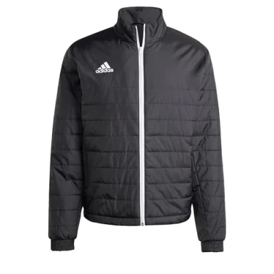 Imagen de adidas Hombre Jacket (Filled Thin) Ent22 Ljkt, Black, IB6070, 3XT2