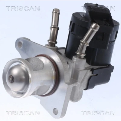Imagen de TRISCAN 8813 11001 Válvula EGR eléctrico con juntas, sin radiator BMW: 3 Berlina, Touring, 1 Hatchback