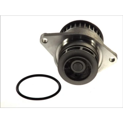 Imagen de MAGNETI MARELLI 352316171189 Bomba de agua VOLKSWAGEN: Golf 4 Variant, 4, Polo III Hatchback, SEAT: Leon I Toledo 2 Limousine