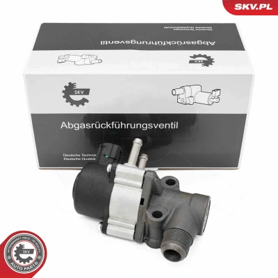 Imagen de Válvula EGR ESEN SKV 14SKV271