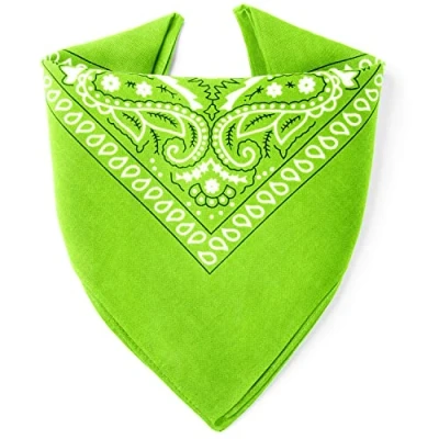 Imagen de ...KARL LOVEN EL BANDANA Estampado Paisley 100% Algodón Máximo grosor 20 Colores Exclusivos Verde Manzana