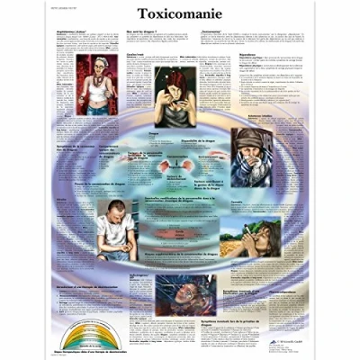 Imagen de 3B Scientific Tabla anatómica, 1