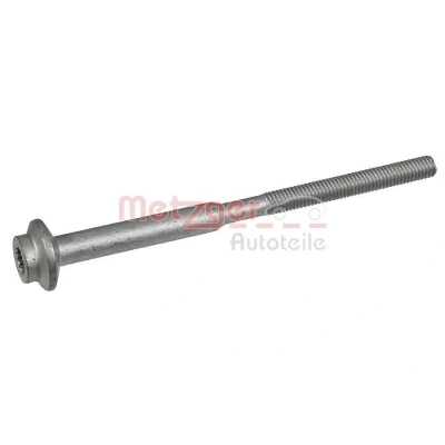 Imagen de METZGER 0873029 Tornillo, soporte inyector VOLKSWAGEN: Arteon, Sharan II, AUDI: A5 B8 Sportback, SEAT: Leon III ST