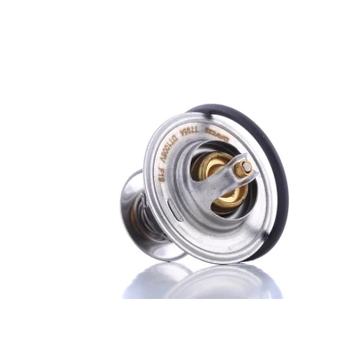 Imagen de DAYCO DT1006V Termostato, refrigerante 87 54,0 VOLKSWAGEN: GOLF 3, New Beetle Hatchback, Caddy AUDI: A4 B5 Berlina, A6 C5 A3 Hatchback